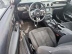 2019 Ford Mustang  for Sale in Haslet, TX - Hail