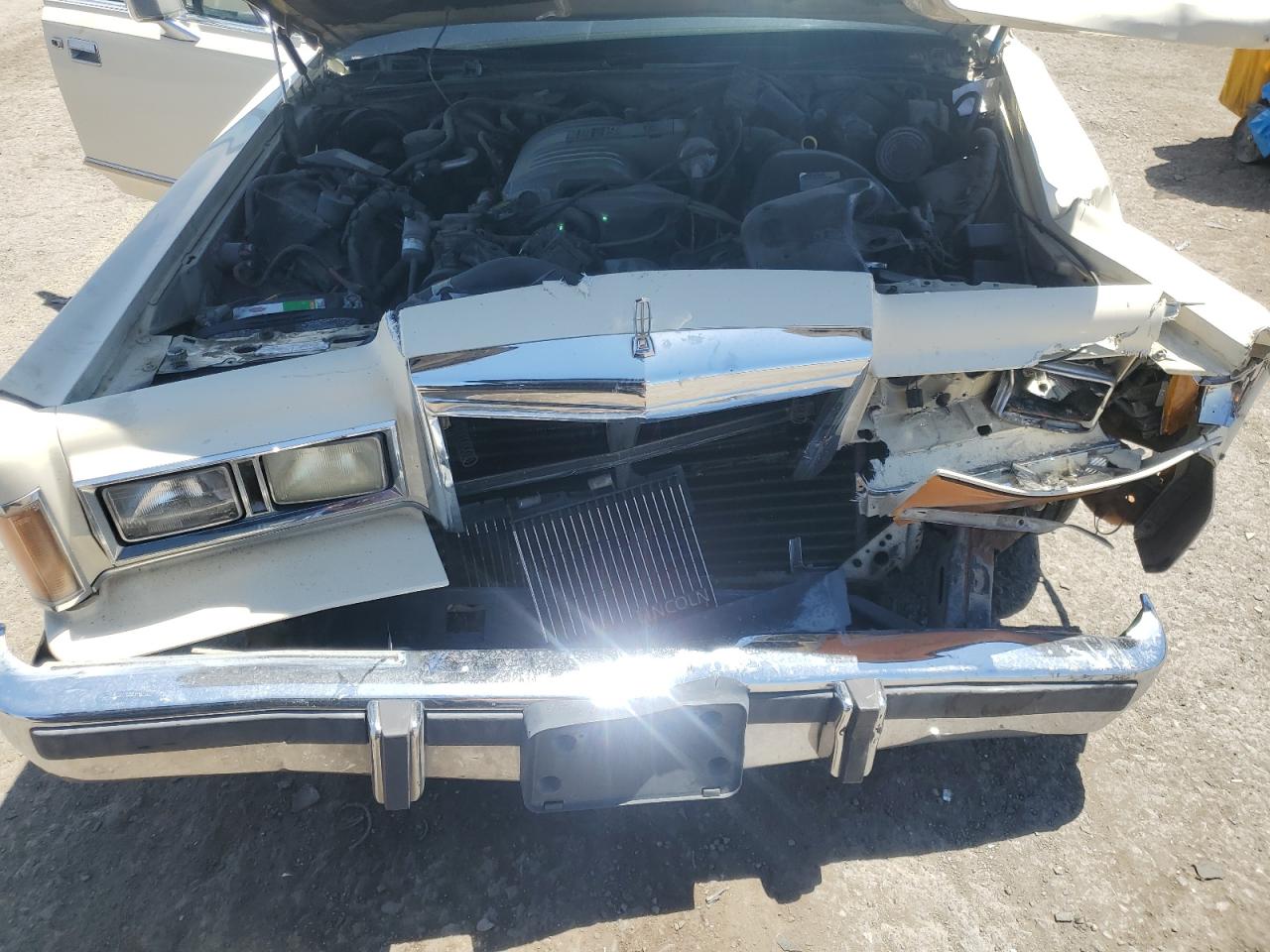 1989 Lincoln Town Car VIN: 1LNBM81F0KY719814 Lot: 61096835