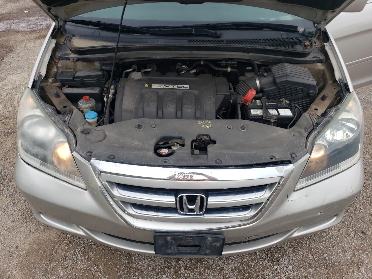 2007 Honda Odyssey Ex VIN: 5FNRL38427B513477 Lot: 62457695
