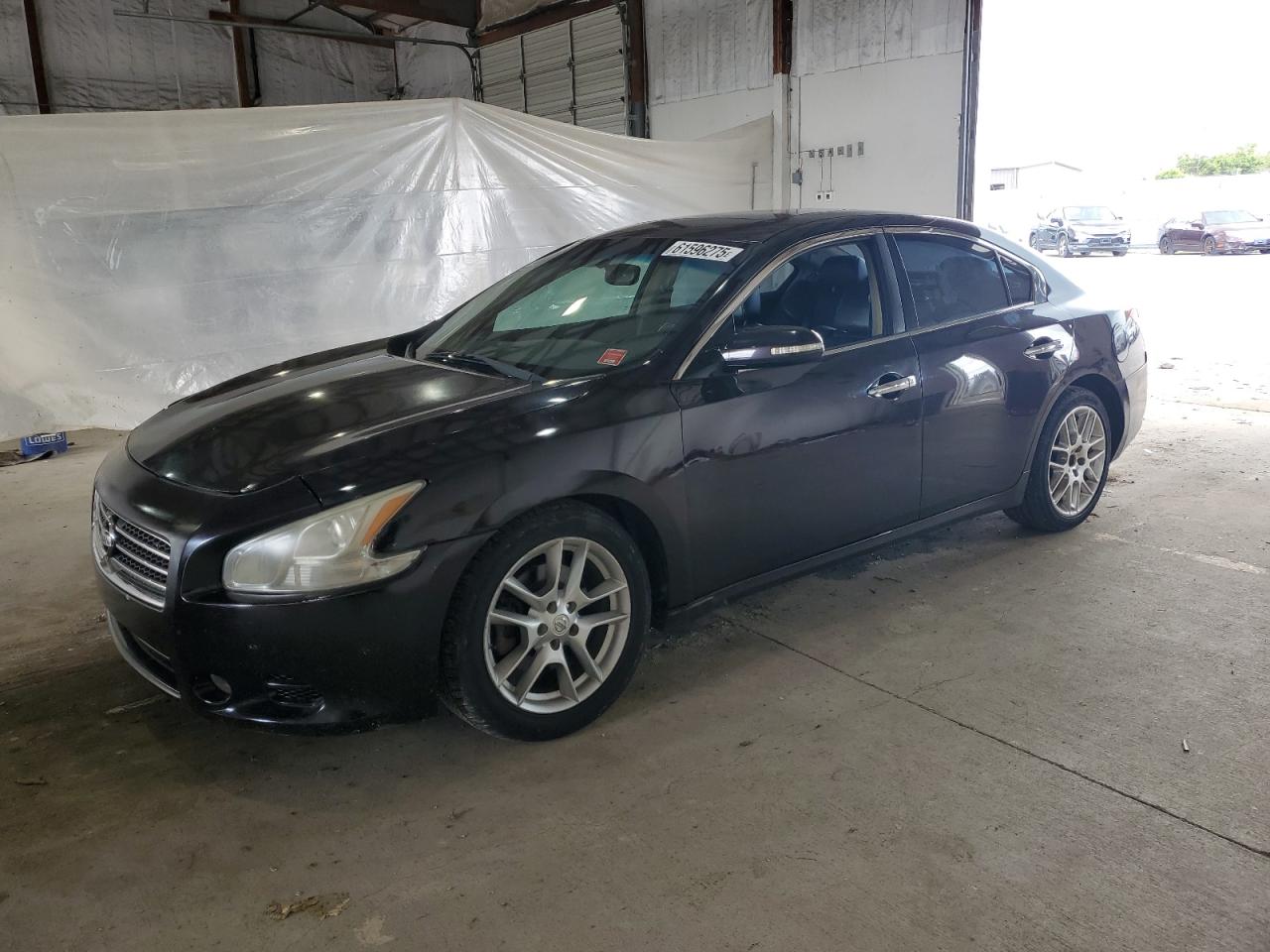 1N4AA5AP2BC834479 NISSAN MAXIMA Photo 1