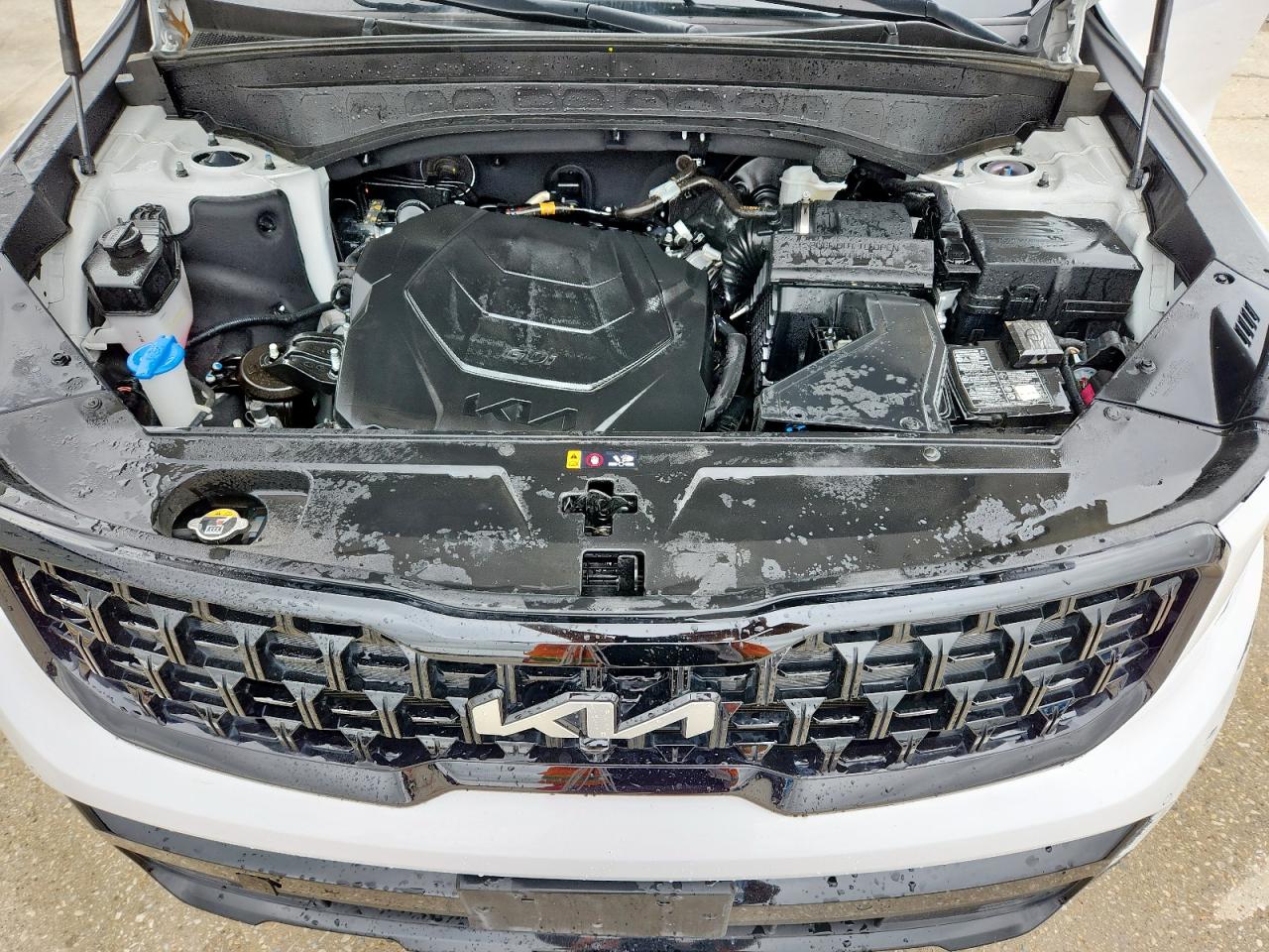 2024 Kia Telluride Sx VIN: 5XYP5DGC1RG512722 Lot: 60665195