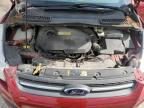 2014 Ford Escape Se   zu verkaufen in Indianapolis, IN - Side