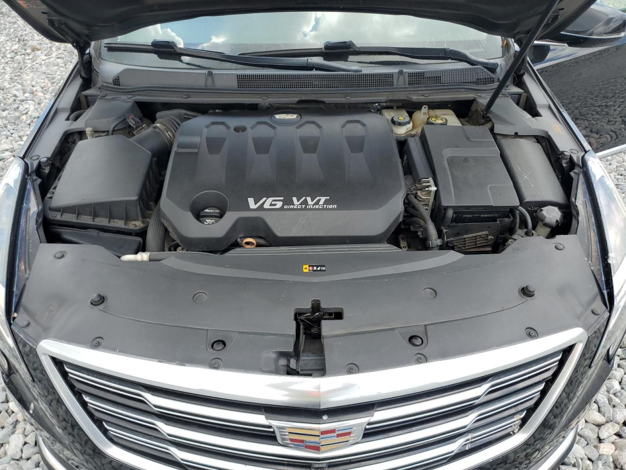 2019 Cadillac Xts VIN: 2G61U5S37K9123562 Lot: 62376355