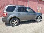 2011 FORD ESCAPE XLT   for sale at Copart ON - LONDON