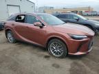 2023 LEXUS RX 350H BASE   for sale at Copart ON - TORONTO