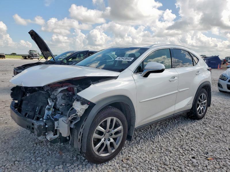  LEXUS NX 2016 Biały
