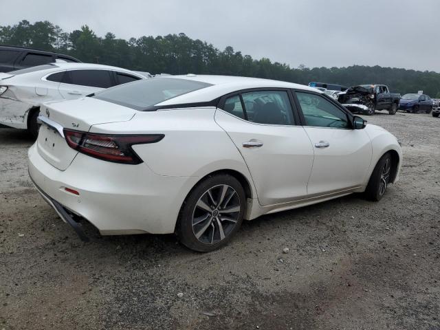  NISSAN MAXIMA 2023 Белый