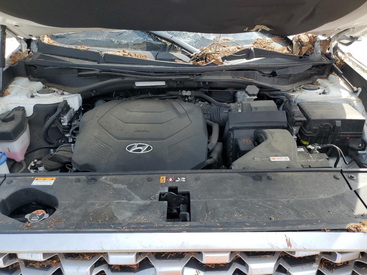 2021 Hyundai Palisade Sel VIN: KM8R4DHE1MU246570 Lot: 58607315