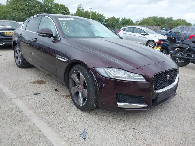 2016 JAGUAR XF PORTFOL