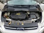 2013 Ford Escape Sel   for Sale in Chambersburg, PA - Burn - Engine