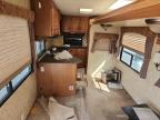 2009 Coach Chaparral for Sale in Brighton, CO - Top/Roof
