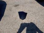 2025 NECO GPX RS  for sale at Copart SANDWICH