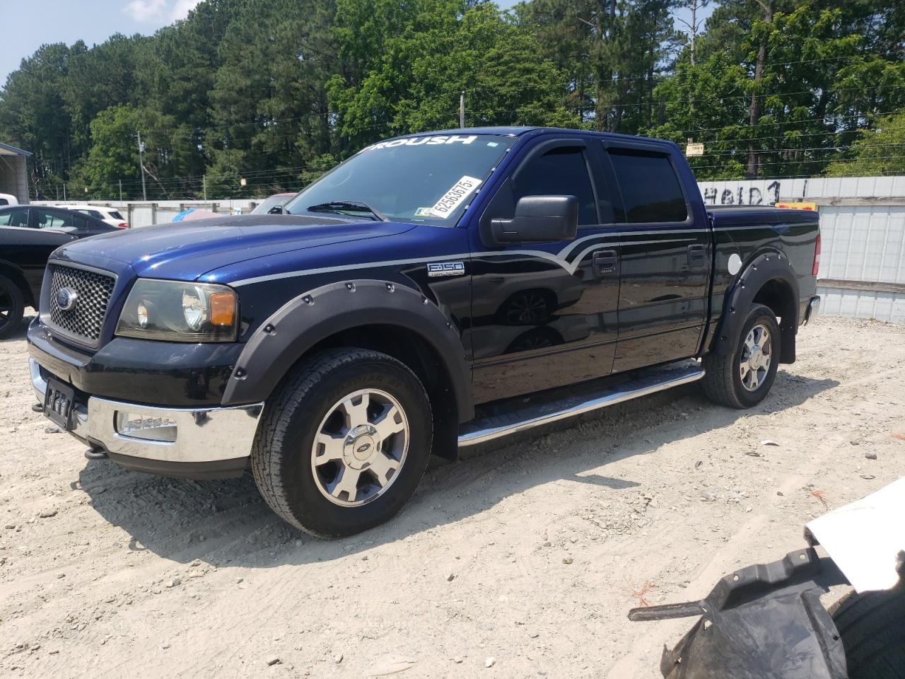 FORD F-150 2004 VIN 1FTPW14534KA74550