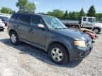 Albany, NY에서 판매 중인 2009 Ford Escape Xlt   - Front End