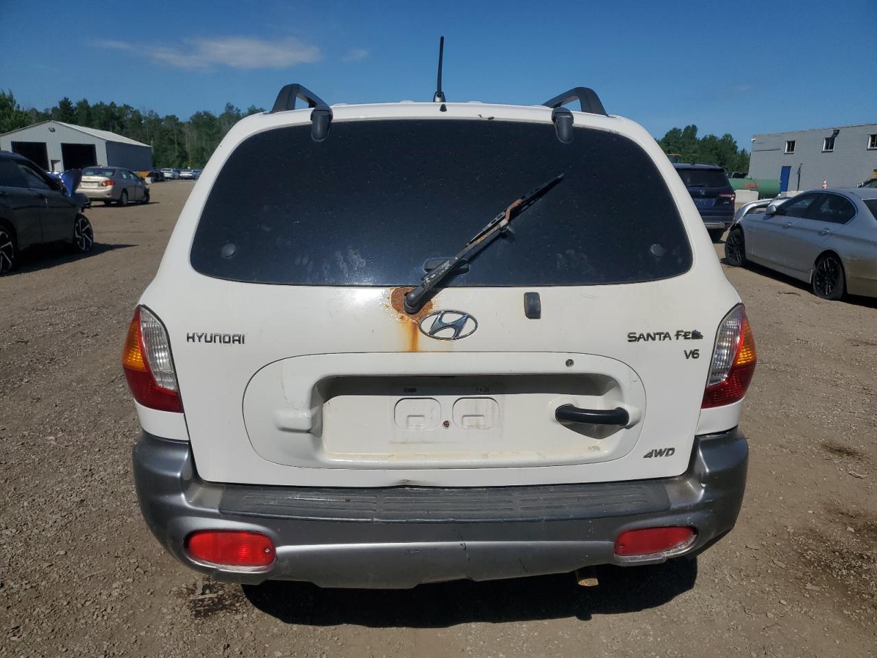 2004 Hyundai Santa Fe VIN: KM8SB73D14U751693 Lot: 62172415