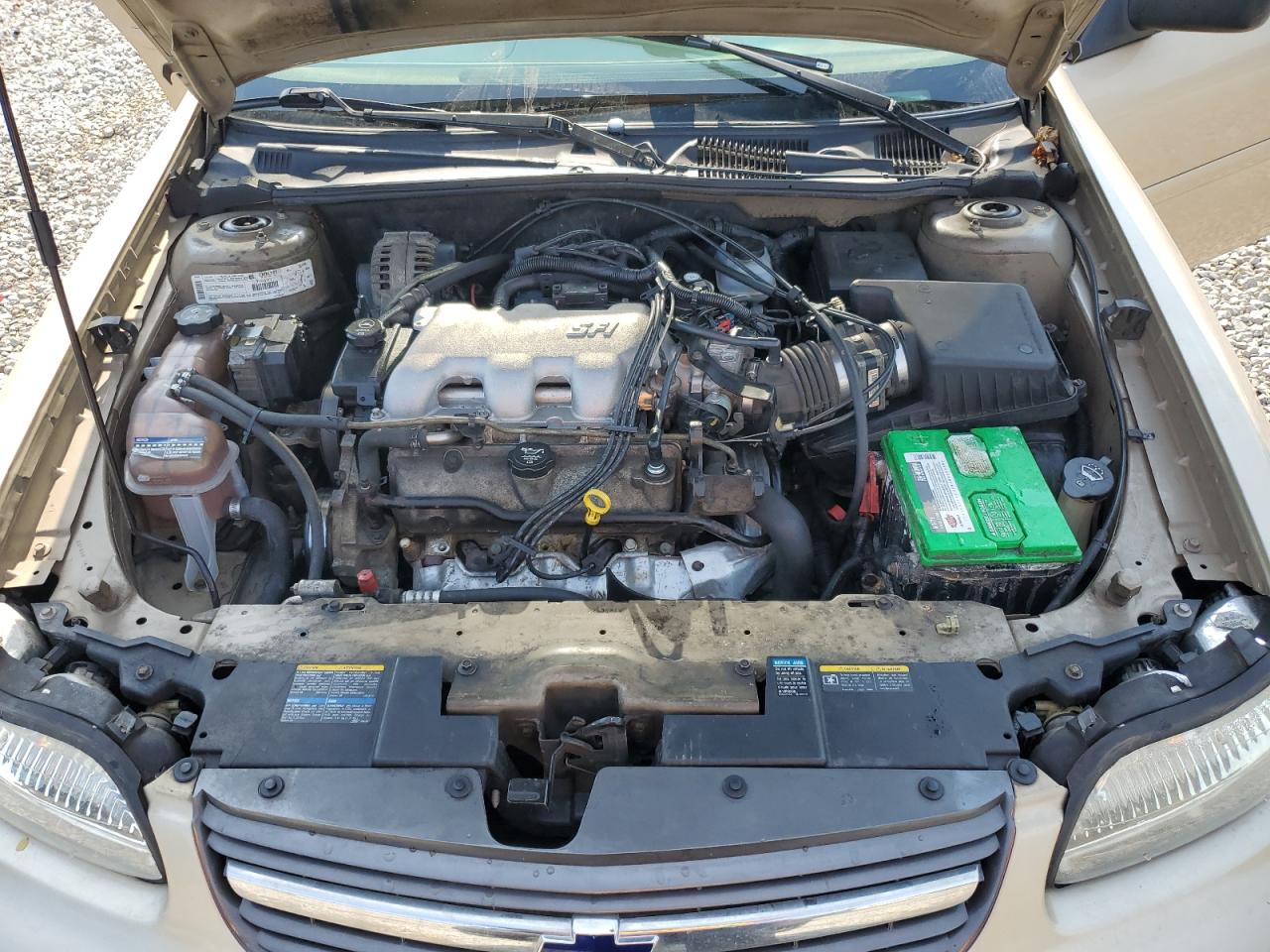 CHEVROLET MALIBU 2003 VIN 1G1ND52JX3M603489 zdjęcie 11