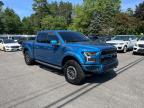2019 FORD F150 RAPTOR   à vendre chez Copart MA - NORTH BOSTON