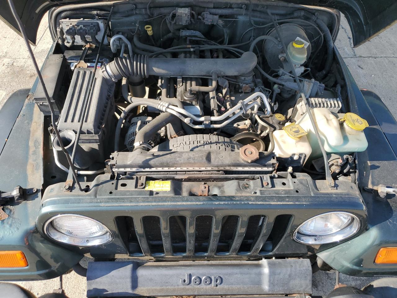 2003 Jeep Wrangler / Tj Sahara VIN: 1J4FA59S73P339658 Lot: 60746155