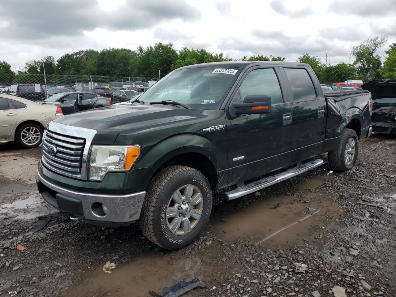 2012 Ford F150 Supercrew for Sale in Chalfont, PA - Side