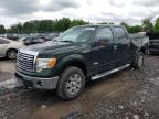 2012 Ford F150 Supercrew for Sale in Chalfont, PA - Side