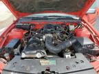 2005 Ford Mustang    продається в Mercedes, TX - Minor Dent/Scratches