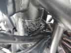 2024 KAWASAKI EX500 A   for sale at Copart FL - PUNTA GORDA