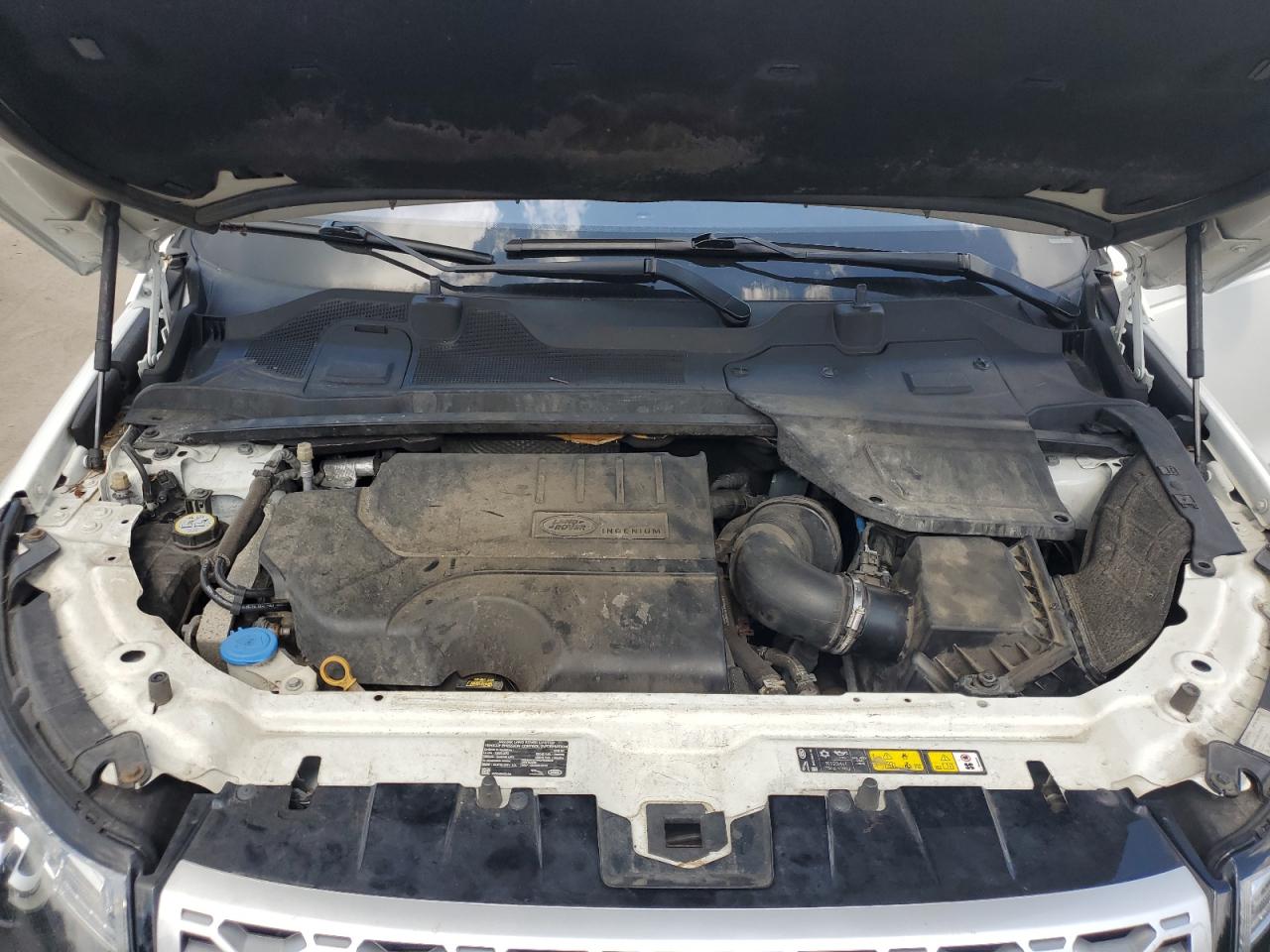 2019 Land Rover Discovery Sport Hse VIN: SALCR2FX1KH800483 Lot: 61772435