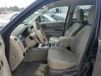 2010 Ford Escape Xlt   de vânzare în Leroy, NY - Normal Wear