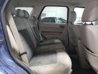 2008 FORD ESCAPE XLT   for sale at Copart MN - MINNEAPOLIS