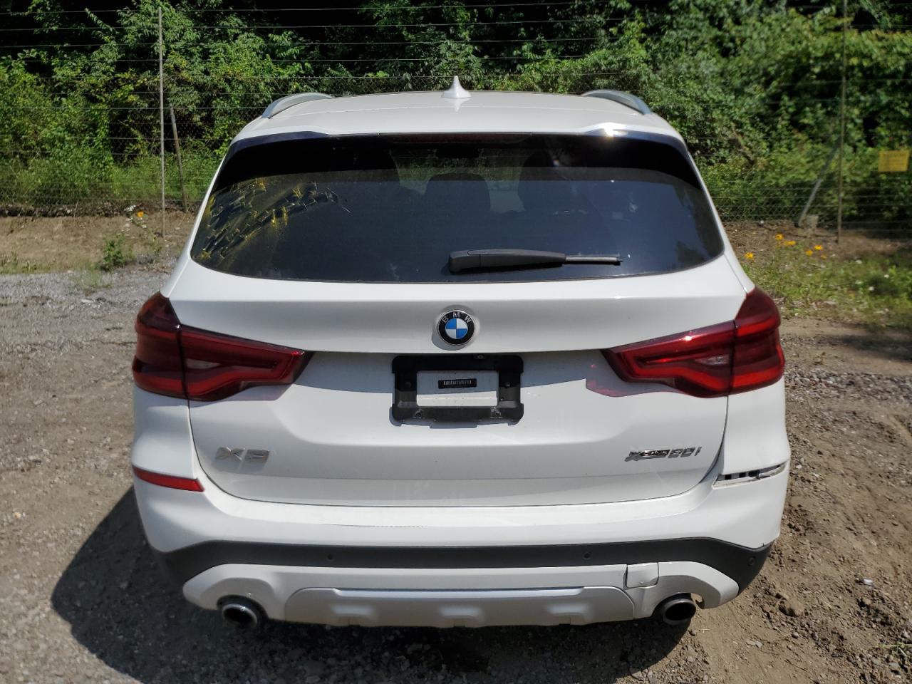 2020 BMW X3 xDrive30I VIN: 5UXTY5C04L9C87794 Lot: 61455715