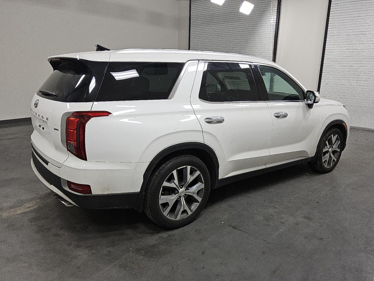 2020 Hyundai Palisade Sel VIN: KM8R4DHEXLU116351 Lot: 59057895