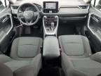 2023 Toyota Rav4 Xle de vânzare în Orlando, FL - Rear End