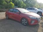 2019 Hyundai Ioniq Sel იყიდება Davison-ში, MI - Minor Dent/Scratches