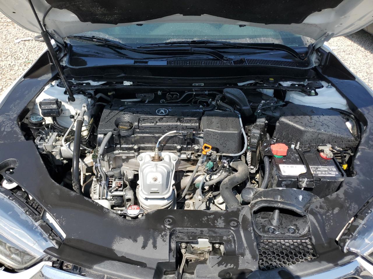 2020 Acura Tlx VIN: 19UUB1F36LA013015 Lot: 62006415