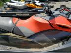 2019 SEADOO RXPX 300   à vendre chez Copart ON - COOKSTOWN