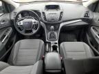 2013 Ford Escape Se for Sale in Ham Lake, MN - Front End