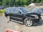 2015 Cadillac Escalade Premium за продажба в Baltimore, MD - Front End