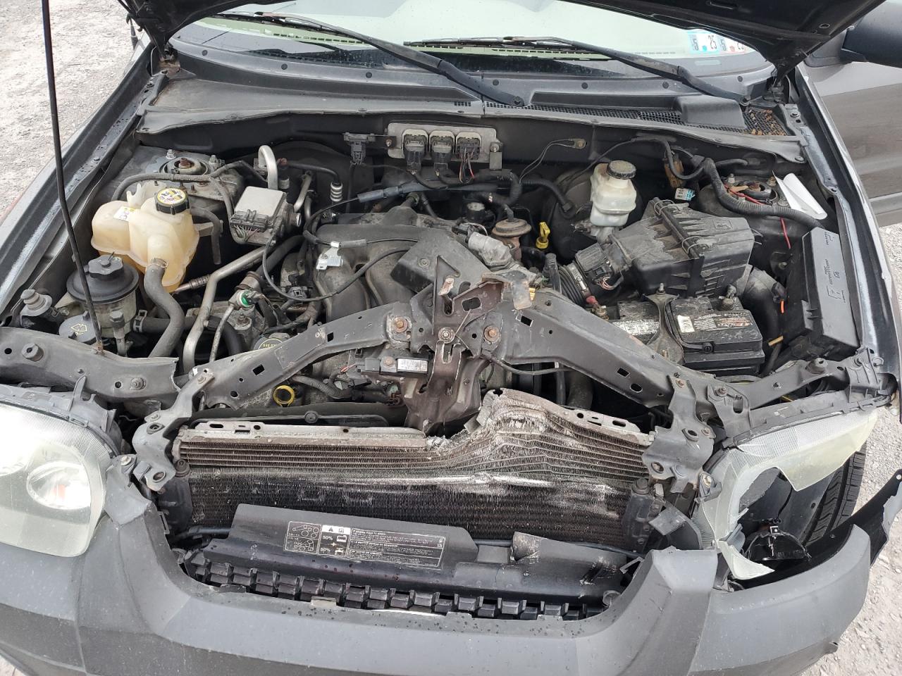 2005 Ford Escape Xlt VIN: 1FMYU93135KD65313 Lot: 62725385