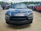 2012 Dodge Charger Police for Sale in Louisville, KY - Hail