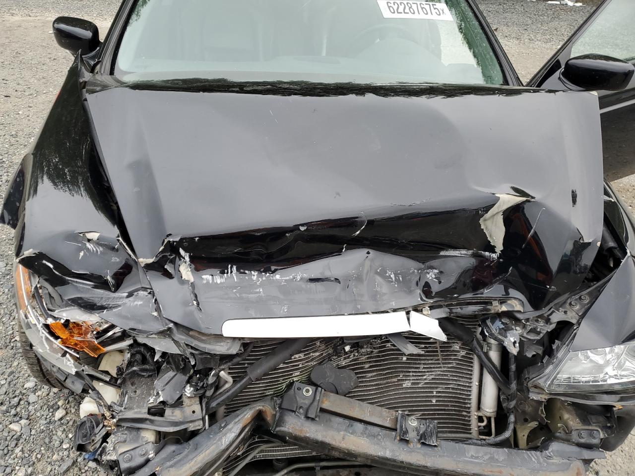 2005 Acura Tl VIN: 19UUA66225A014494 Lot: 62287675