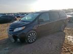 2019 Toyota Sienna Xle იყიდება Houston-ში, TX - Minor Dent/Scratches