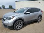 2019 HONDA CR-V EX   for sale at Copart AB - CALGARY