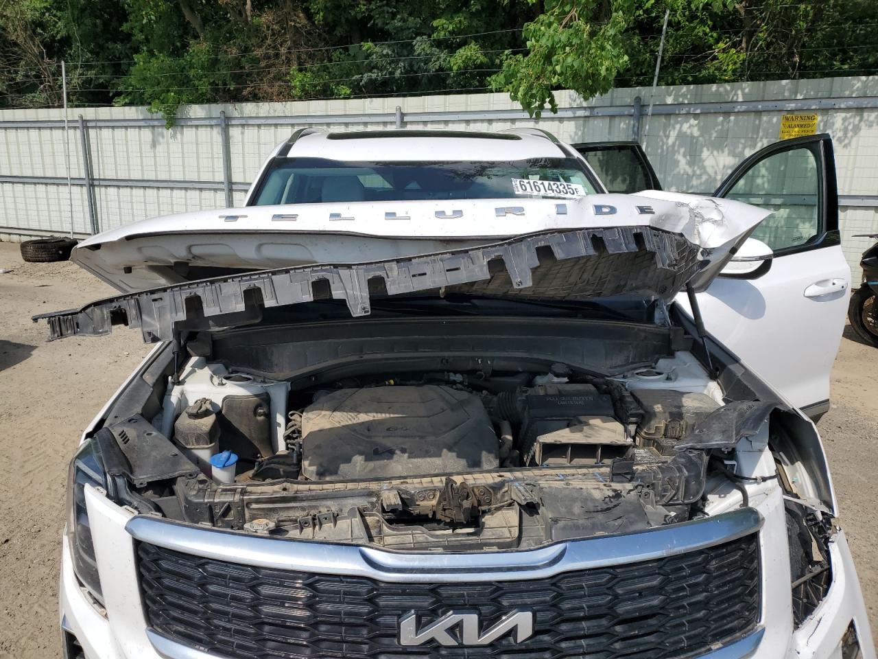 2022 Kia Telluride Ex VIN: 5XYP3DHC7NG261171 Lot: 61614335