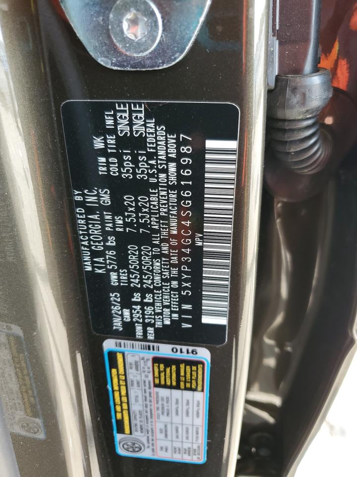 2025 Kia Telluride Ex VIN: 5XYP34GC4SG616987 Lot: 60468665