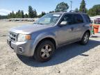 2008 Ford Escape Xlt for Sale in Graham, WA - Rear End