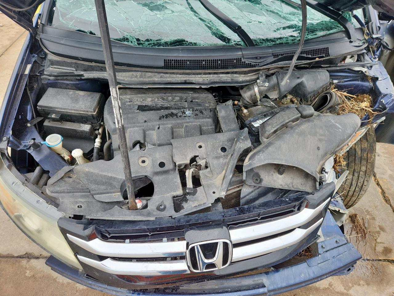 5FNRL5H63FB059168 2015 Honda Odyssey Exl