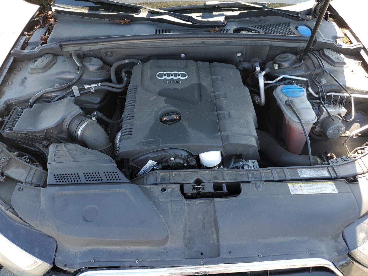 2014 Audi A4 Premium Plus VIN: WAUFFAFL0EN000197 Lot: 62939845