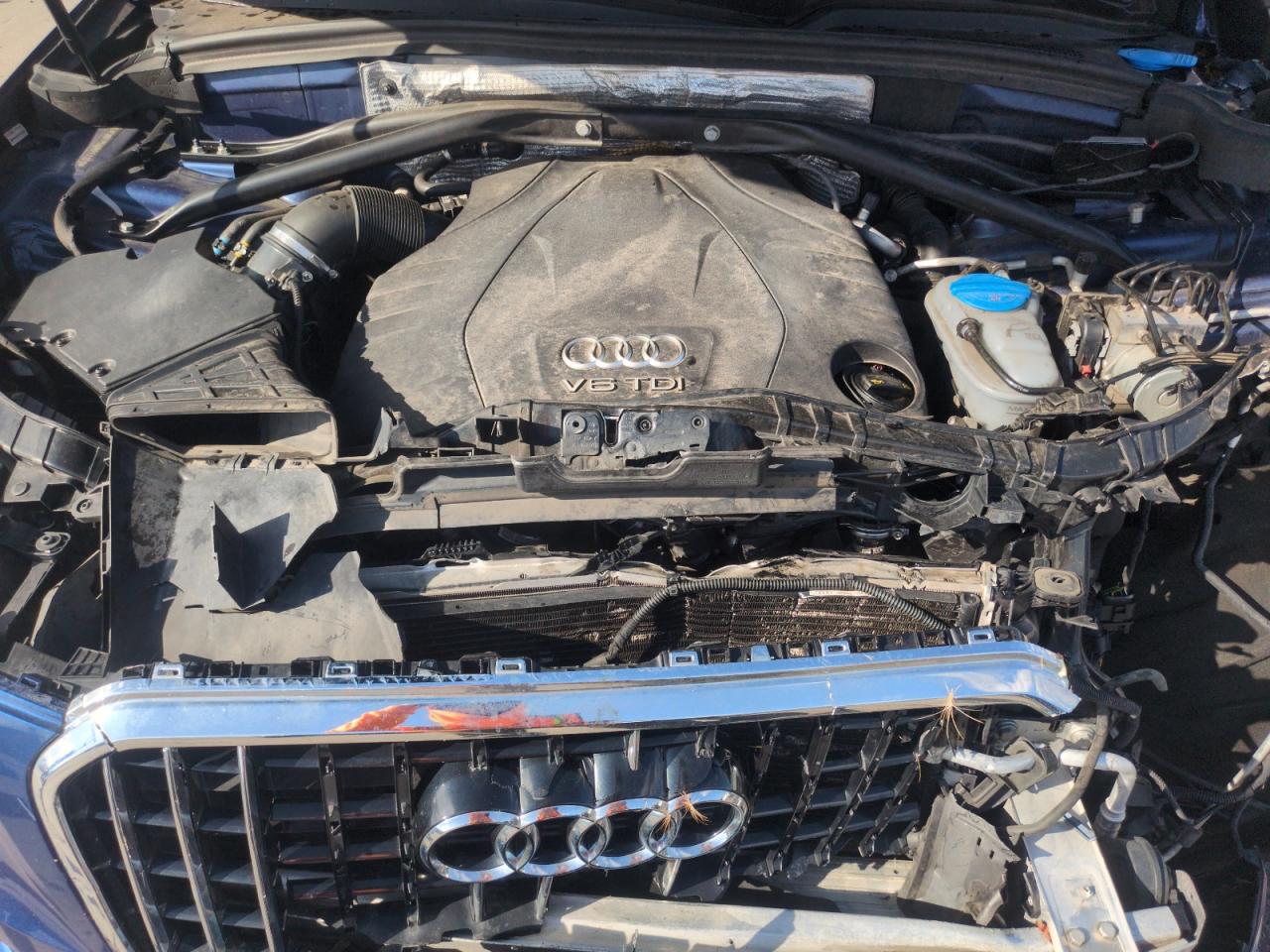 2016 Audi Q5 Tdi Premium Plus VIN: WA1CVAFP5GA011101 Lot: 62942555