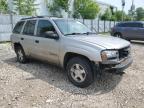 2002 Chevrolet Trailblazer  იყიდება Franklin-ში, WI - All Over