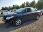 2013 TOYOTA COROLLA BASE   for sale at Copart ON - COOKSTOWN